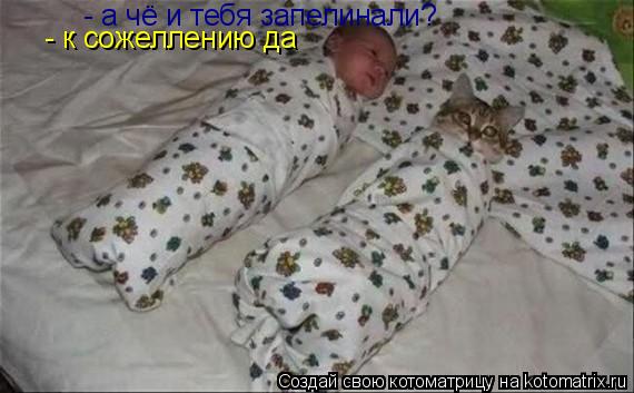 Котоматрица: - а чё и тебя запелинали? - к сожеллению да