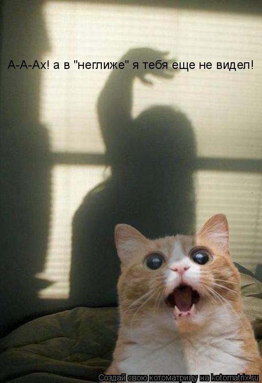 Котоматрица: А-А-Ах! а в "неглиже" я тебя еще не видел!