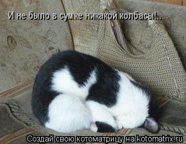 Котоматрица: И не было в сумке никакой колбасы!..