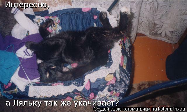 Котоматрица: Интересно,  а Ляльку так же укачивает?