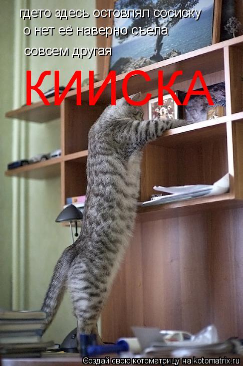 Котоматрица: гдето здесь остовлял сосиску о нет её наверно съела  совсем другая КИИСКА