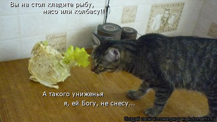Котоматрица: Вы на стол кладите рыбу, мясо или колбасу!!! А такого униженья я, ей Богу, не снесу...