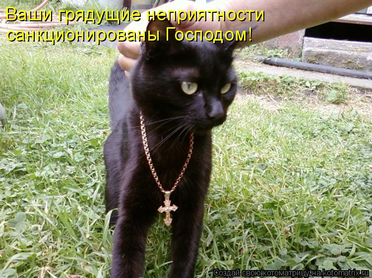 Котоматрица: Ваши грядущие неприятности  санкционированы Господом!