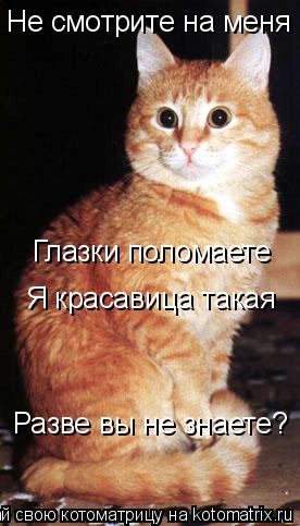 Котоматрица: Не смотрите на меня Глазки поломаете Я красавица такая Разве вы не знаете?