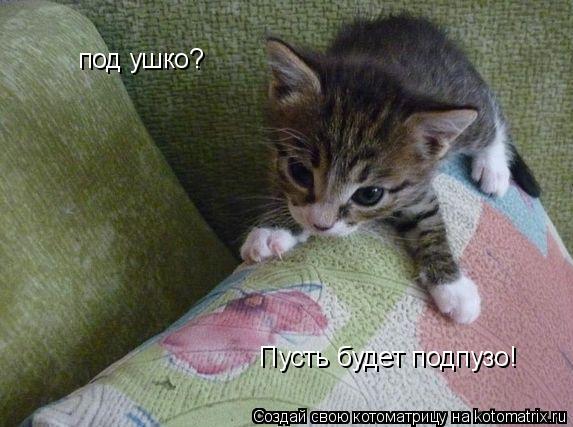 Котоматрица: под ушко? Пусть будет подпузо!