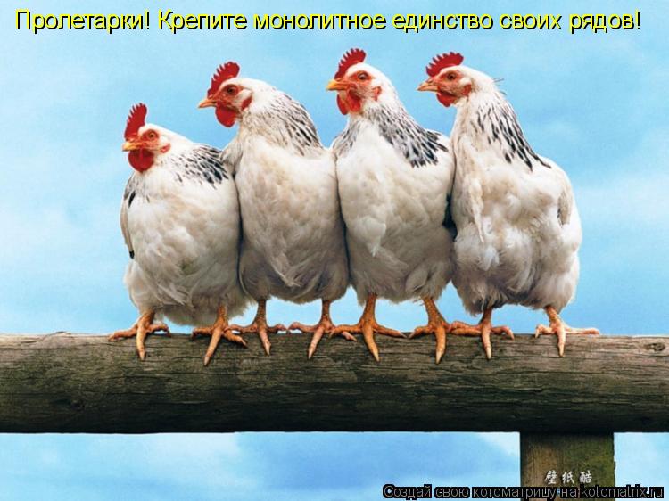 Котоматрица: Пролетарки! Крепите монолитное единство своих рядов!