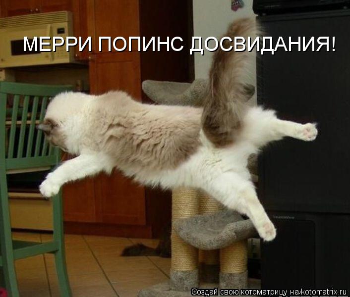 Котоматрица: МЕРРИ ПОПИНС ДОСВИДАНИЯ!