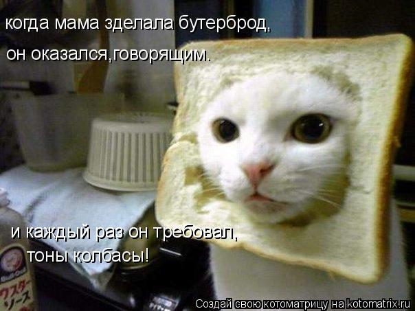 Котоматрица: когда мама зделала бутерброд, он оказался,говорящим. и каждый раз он требовал, и каждый раз он требовал, тоны колбасы!