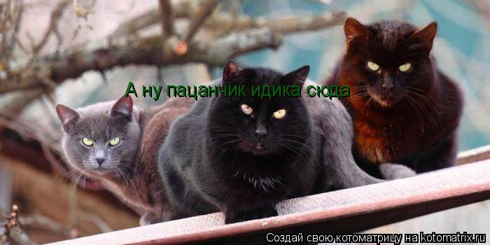 Котоматрица: А ну пацанчик идика сюда