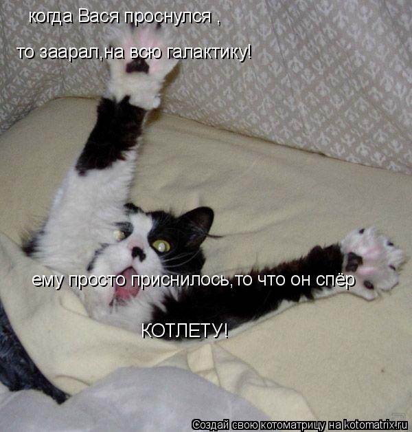 Котоматрица: когда Вася проснулся , то заарал,на всю галактику! ему просто приснилось,то что он спёр КОТЛЕТУ!