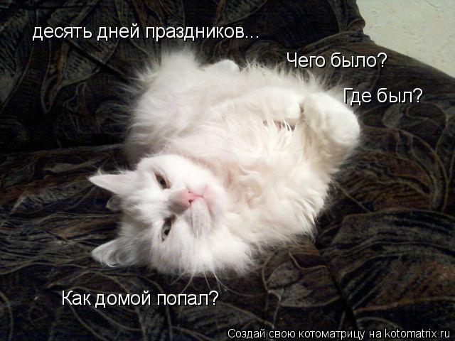 Котоматрица: десять дней праздников... Чего было?  Где был? Как домой попал?
