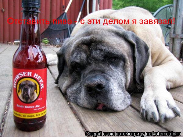 Котоматрица: Отставить пиво - с эти делом я завязал!