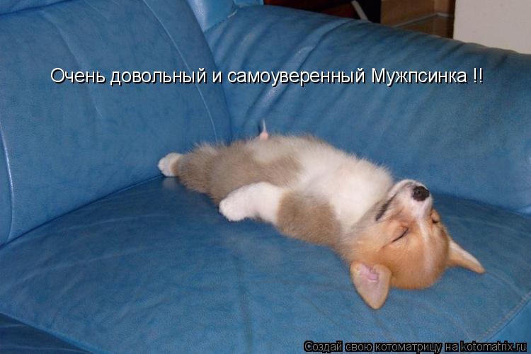 Котоматрица: Очень довольный и самоуверенный Мужпсинка !!