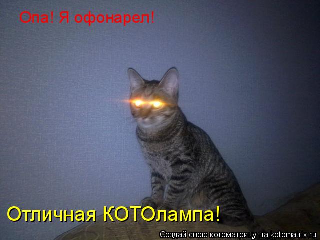 Котоматрица: Опа! Я офонарел! Отличная КОТОлампа!
