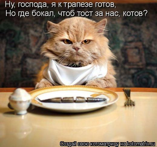 Котоматрица: Ну, господа, я к трапезе готов, Но где бокал, чтоб тост за нас, котов?