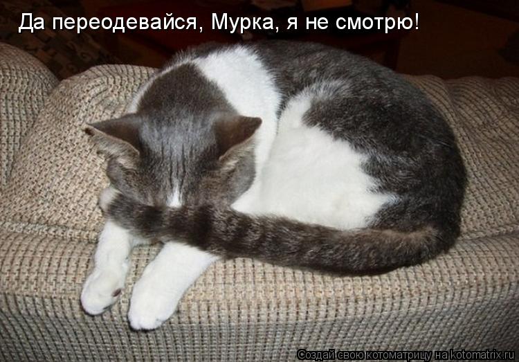 Котоматрица: Да переодевайся, Мурка, я не смотрю!