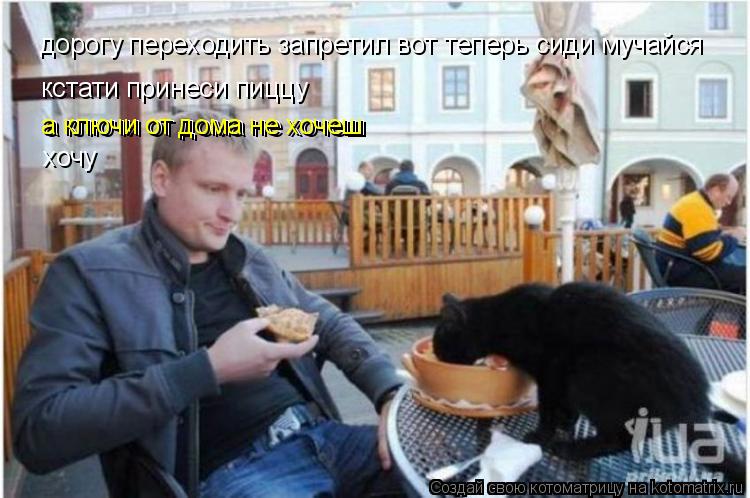 Котоматрица: дорогу переходить запретил вот теперь сиди мучайся кстати принеси пиццу а ключи от дома не хочеш а ключи от дома не хочеш хочу