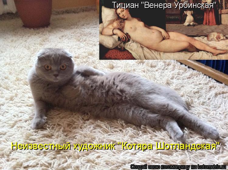 Котоматрица: Тициан "Венера Урбинская" Неизвестный художник "Котяра Шотландская"