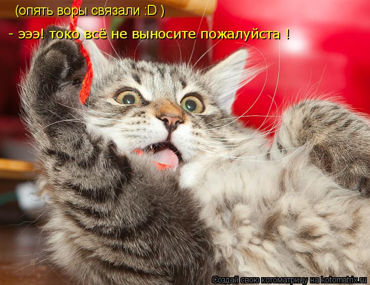 Котоматрица: (опять воры связали :D ) - эээ! токо всё не выносите пожалуйста !