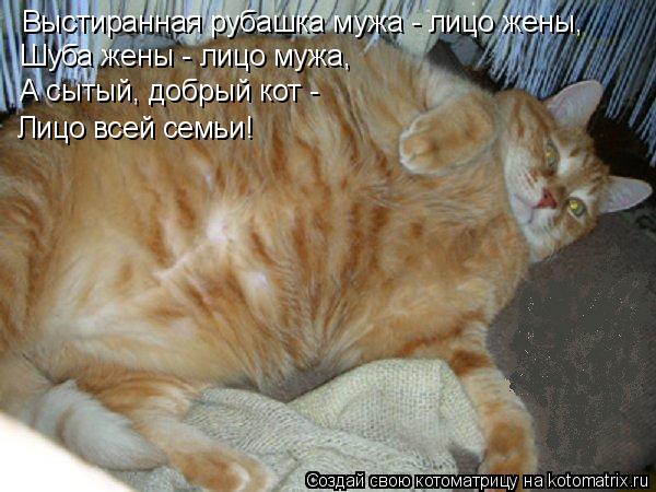 Котоматрица: Выстиранная рубашка мужа - лицо жены, Шуба жены - лицо мужа, А сытый, добрый кот - Лицо всей семьи!