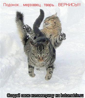 Котоматрица: Подонок... мерзавец.. тварь... ВЕРНИСЬ!!!
