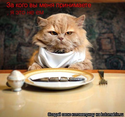 Котоматрица: За кого вы меня принимаете , я это не ем