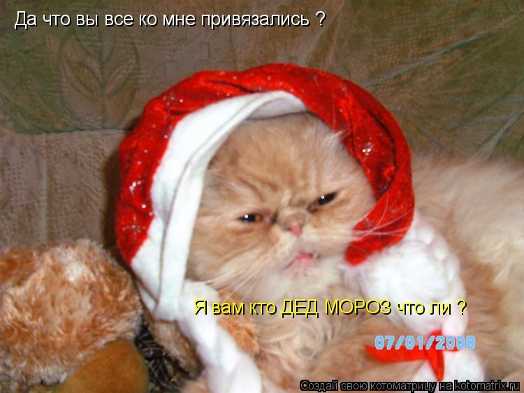 Котоматрица: Да что вы все ко мне привязались ? Я вам кто ДЕД МОРОЗ что ли ?