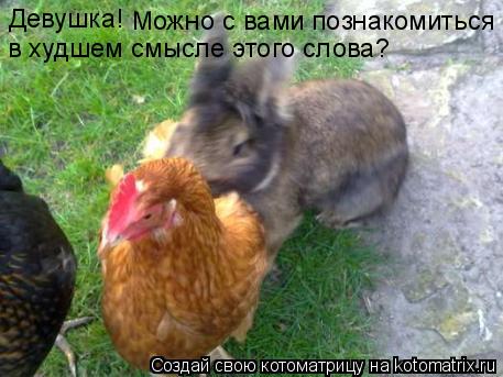 Котоматрица: Девушка! Можно с вами познакомиться в худшем смысле этого слова?