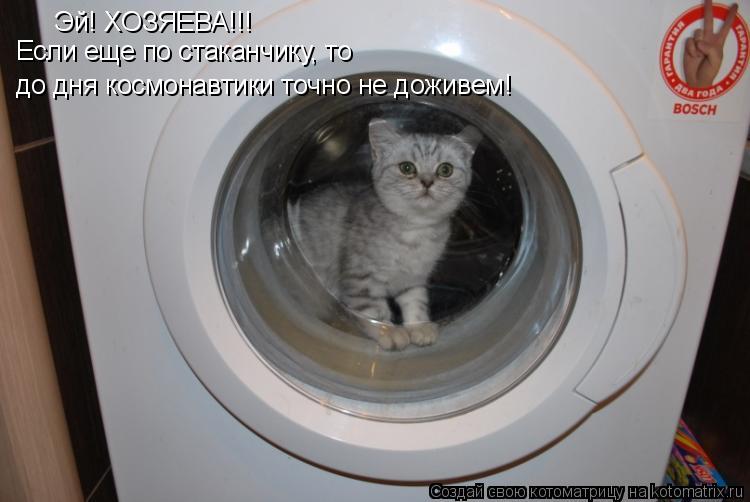 Котоматрица: Эй! ХОЗЯЕВА!!! Если еще по стаканчику, то до дня космонавтики точно не доживем!