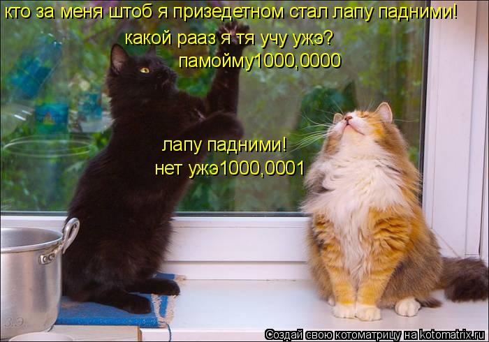 Котоматрица: кто за меня штоб я призедетном стал лапу падними! какой рааз я тя учу ужэ? памойму1000,0000 лапу падними! нет ужэ1000,0001