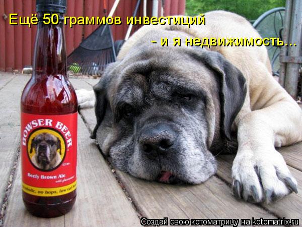 Котоматрица: Ещё 50 граммов инвестиций  - и я недвижимость...