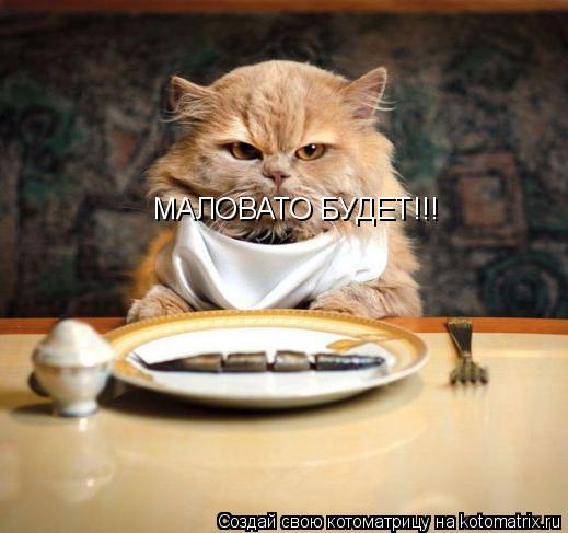 Котоматрица: МАЛОВАТО БУДЕТ!!!