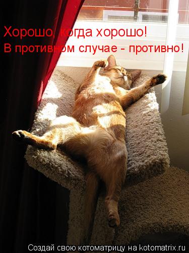 Котоматрица: Хорошо, когда хорошо!  В противном случае - противно!