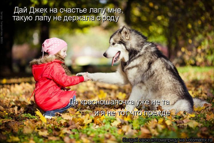 Котоматрица: Дай Джек на счастье лапу мне , такую лапу не держала с роду Да красношапочка уже не та и я не тот что прежде
