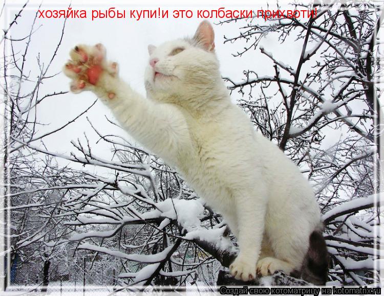 Котоматрица: хозяйка рыбы купи!и это колбаски прихвоти!