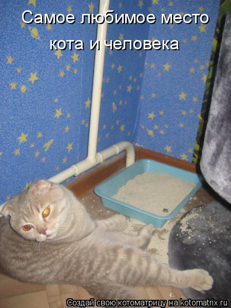 Котоматрица: Самое любимое место кота и человека