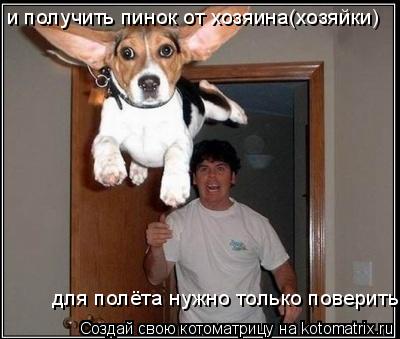 Котоматрица: для полёта нужно только поверить и получить пинок от хозяина(хозяйки)