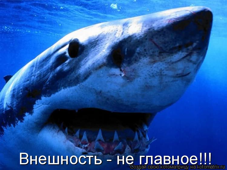 Котоматрица: Внешность - не главное!!!