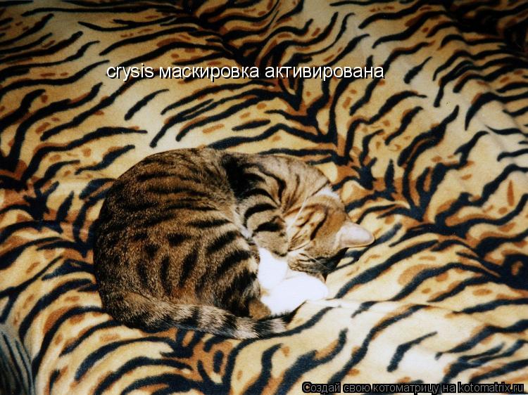 Котоматрица: crysis маскировка активирована