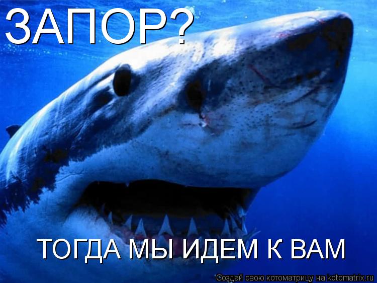 Котоматрица: ЗАПОР? ТОГДА МЫ ИДЕМ К ВАМ