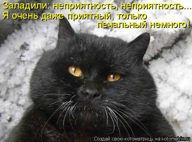 Котоматрица: Заладили: неприятность, неприятность... Я очень даже приятный, только  печальный немного!