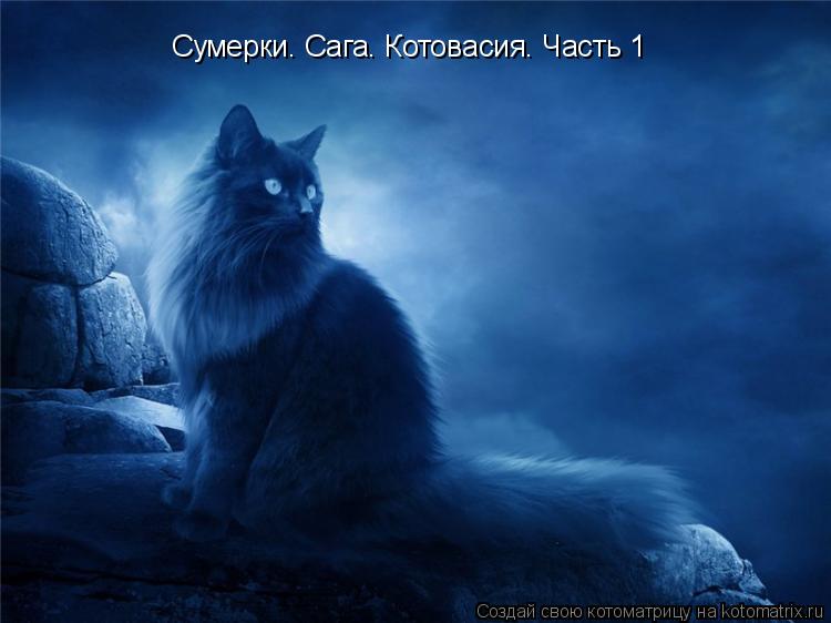 Котоматрица: Сумерки. Сага. Котовасия. Часть 1