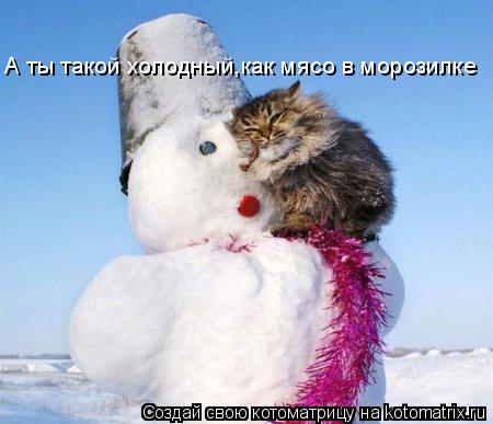 Котоматрица: А ты такой холодный,как мясо в морозилке