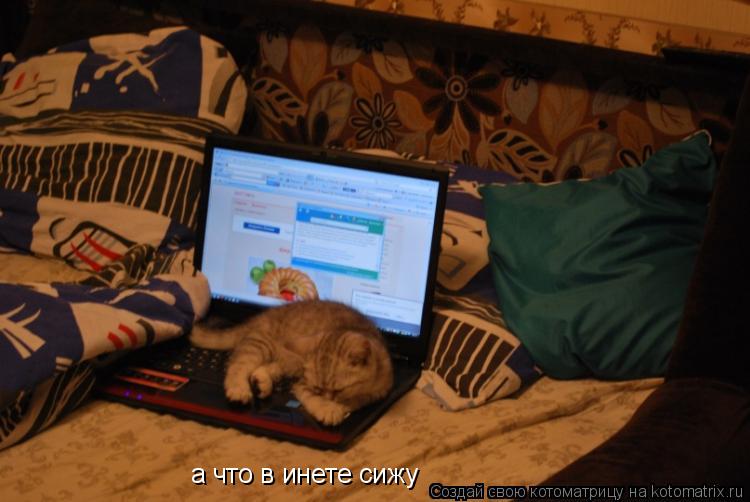 а что в инете сижу... Котоматрица: а что в инете сижу