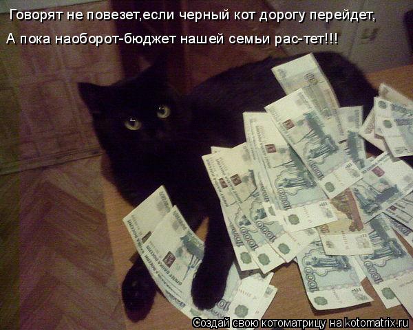 Говорят не повезет,если черный кот дорогу перейдет, А пока наоборот-бюджет нашей семьи рас-тет!!!... Котоматрица: Говорят не повезет,если черный кот дорогу перейдет, А пока наоборот-бюджет нашей семьи рас-тет!!!