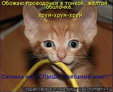 Обожаю проводочки в тонкой, жёлтой оболочке. хрум-хрум-хрум Сигнала нет. СЛЫШУ:"грёбаный инет!!"... Котоматрица: Обожаю проводочки в тонкой, жёлтой оболочке. хрум-хрум-хрум Сигнала нет. СЛЫШУ:"грёбаный инет!!"