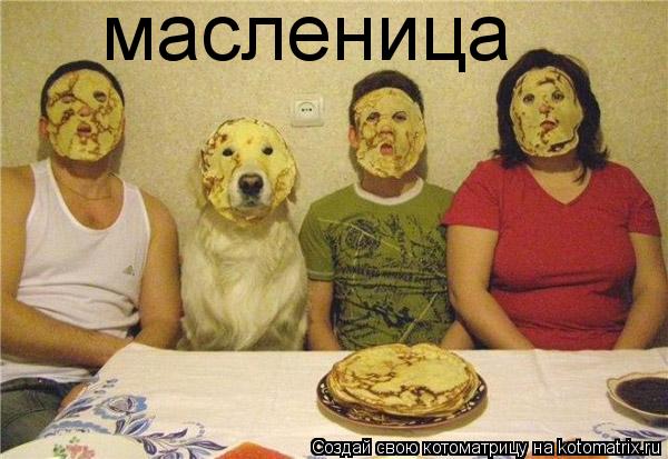 масленица... Котоматрица: масленица