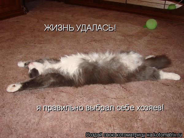 ЖИЗНЬ УДАЛАСЬ! я правильно выбрал себе хозяев!... Котоматрица: ЖИЗНЬ УДАЛАСЬ! я правильно выбрал себе хозяев!