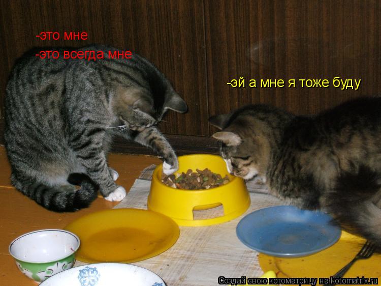-это мне -это всегда мне -эй а мне я тоже буду... Котоматрица: -это мне -это всегда мне -эй а мне я тоже буду