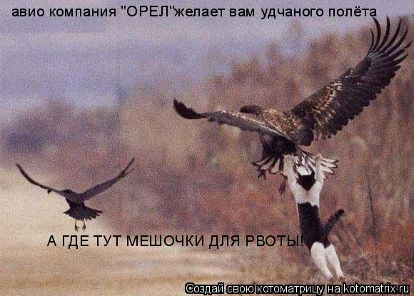 авио компания "ОРЕЛ"желает вам удчаного полёта А ГДЕ ТУТ МЕШОЧКИ ДЛЯ РВОТЫ!... Котоматрица: авио компания "ОРЕЛ"желает вам удчаного полёта А ГДЕ ТУТ МЕШОЧКИ ДЛЯ РВОТЫ!